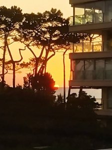 Venta apartamento 1 domritorio y medio con terraza y cochera Playa Mansa Punta del Este