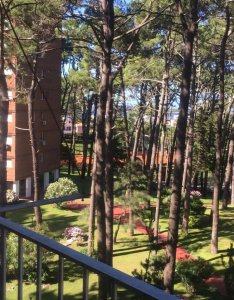 Oportunidad apartamento de 2 dormitorios Playa Mansa Punta del Este 