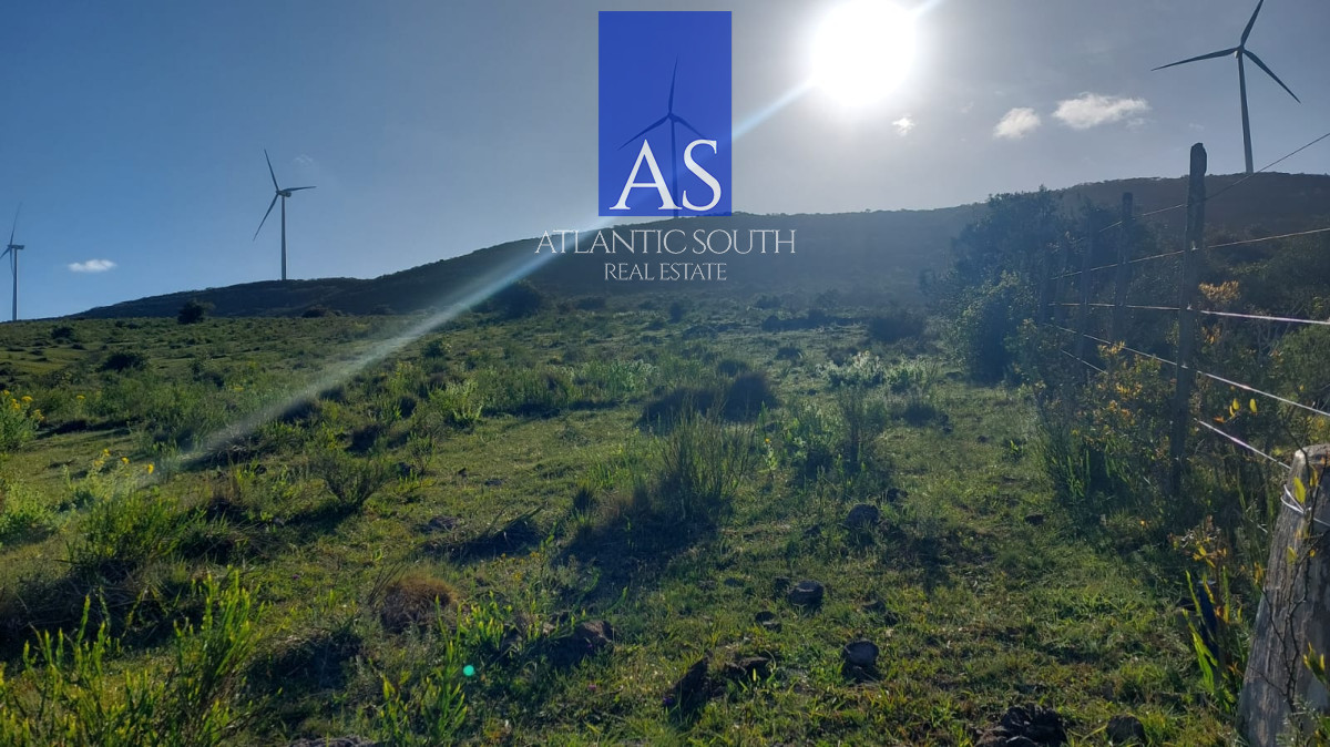 Ruta 9 - GoPunta - Portal Inmobiliario de Punta del Este - Maldonado