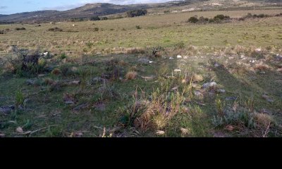 VENTA: CHACRAS EN PARAJE LOS CARACOLES MALDONADO