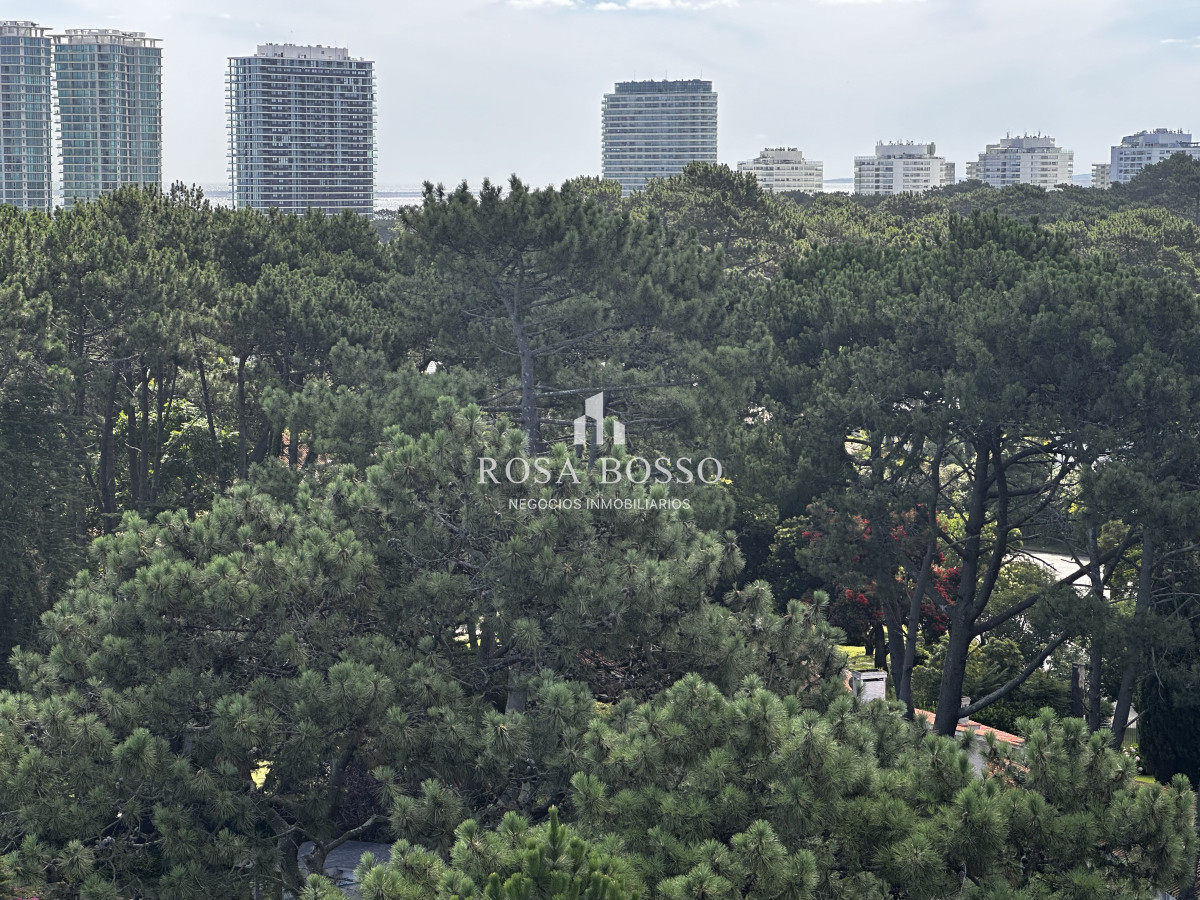 Propiedad - GoPunta - Portal Inmobiliario de Punta del Este - Maldonado