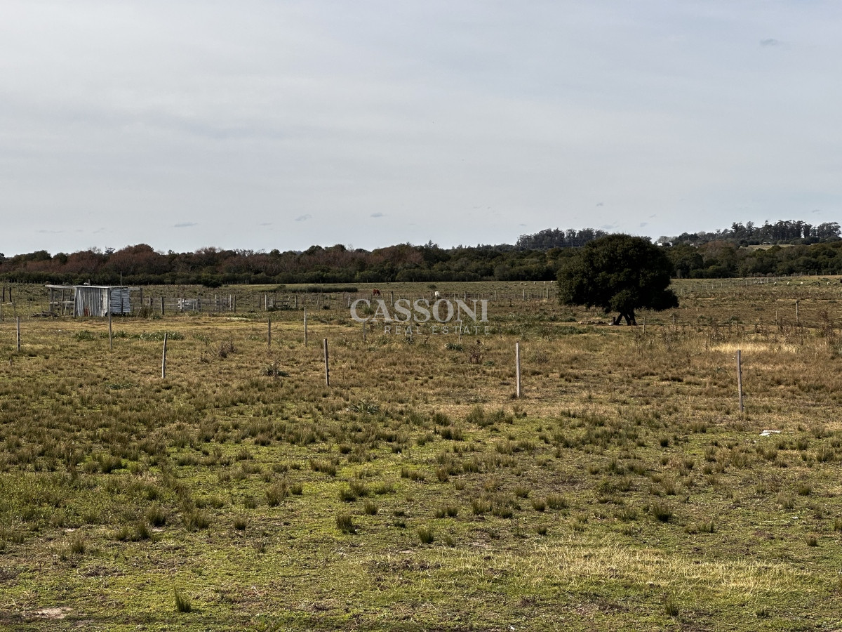 Chacra ID.1400 - CHACRA DE SAN CARLOS 