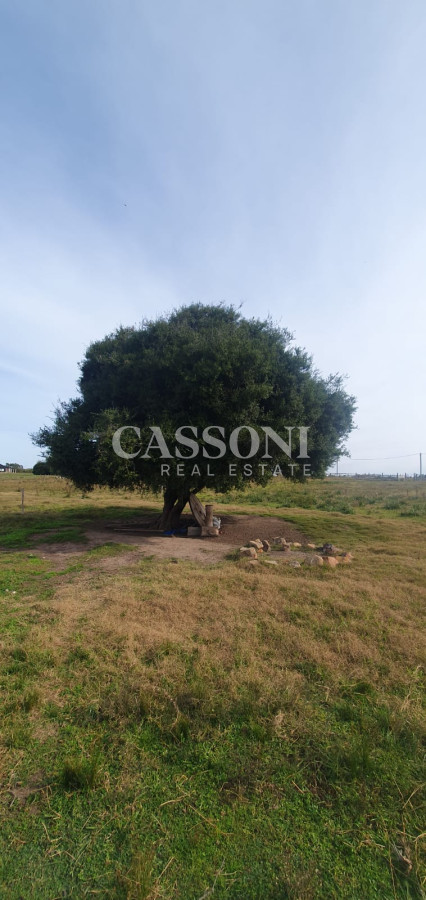 Chacra ID.1400 - CHACRA DE SAN CARLOS 