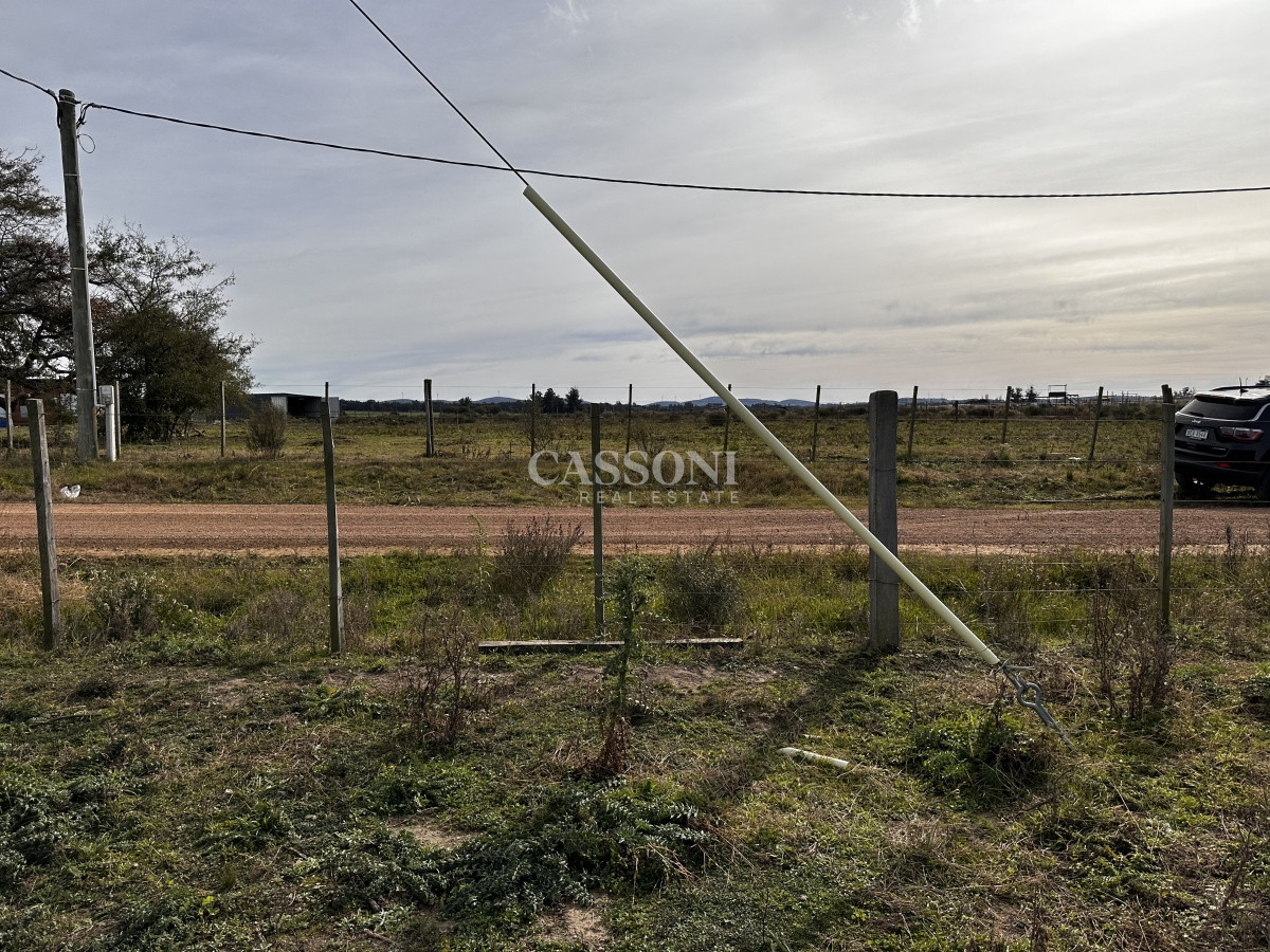 Chacra ID.1400 - CHACRA DE SAN CARLOS 