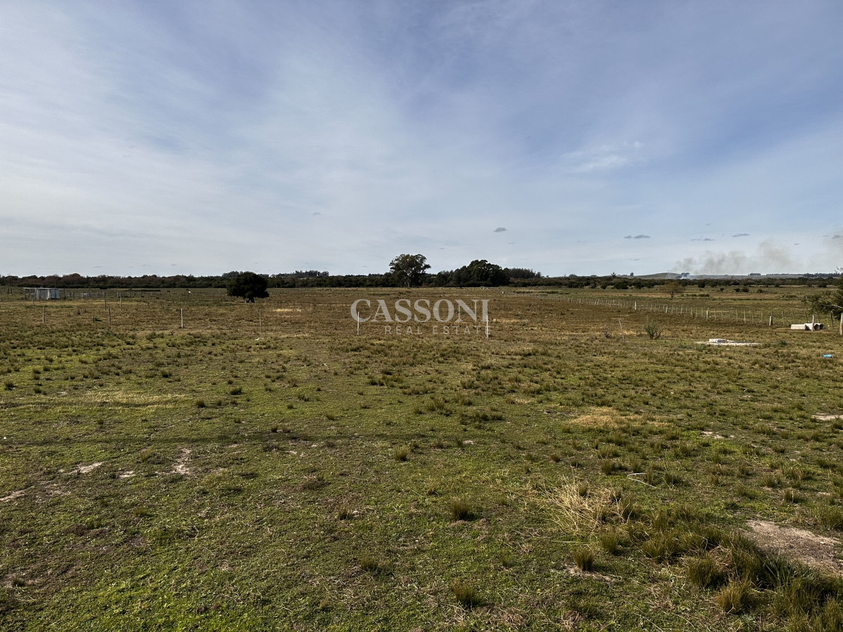 Chacra ID.1400 - CHACRA DE SAN CARLOS 