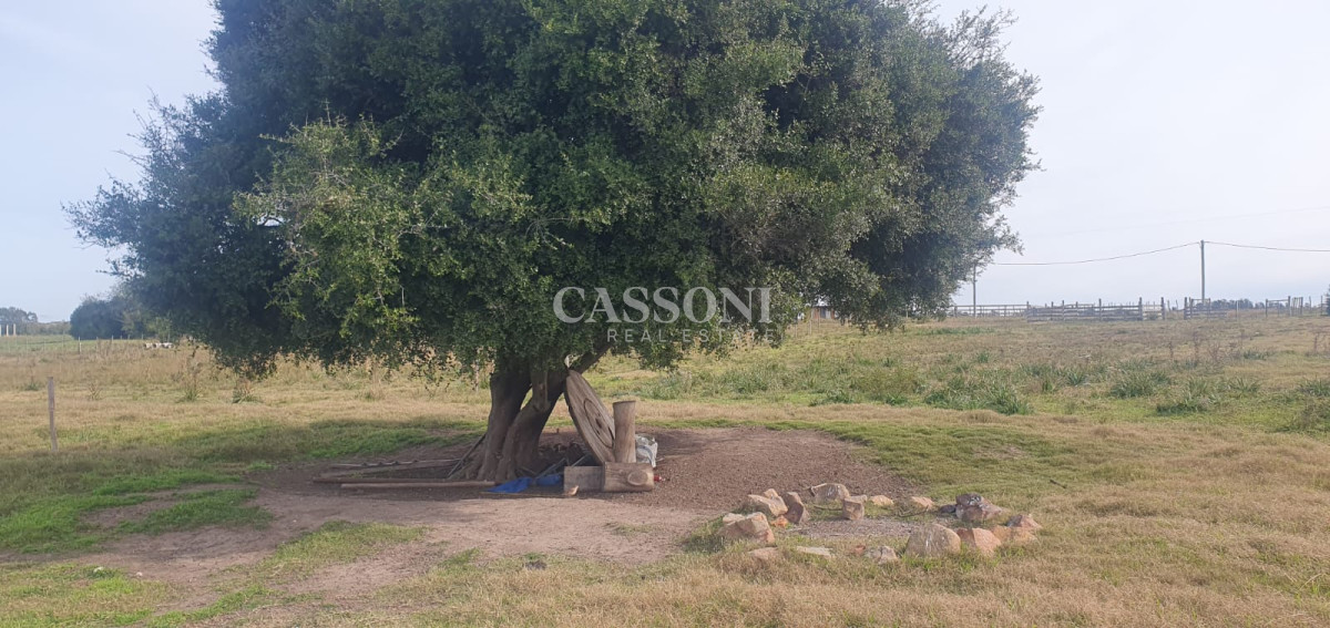 Chacra ID.1400 - CHACRA DE SAN CARLOS 