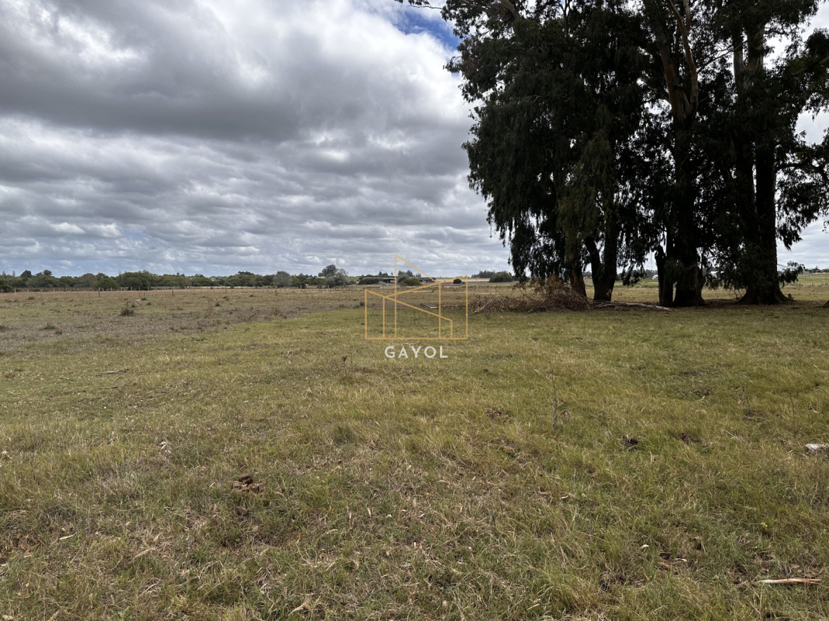 Chacra ID.1587 - CHACRA DE SAN CARLOS 