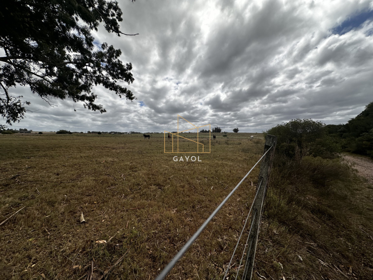Chacra ID.1587 - CHACRA DE SAN CARLOS 