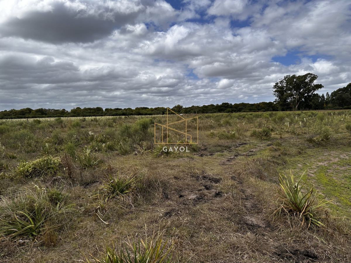 Chacra ID.1587 - CHACRA DE SAN CARLOS 