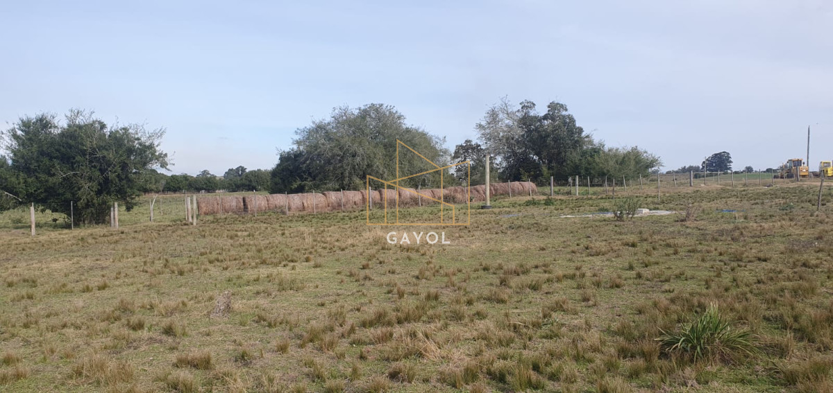 Chacra ID.1587 - CHACRA DE SAN CARLOS 