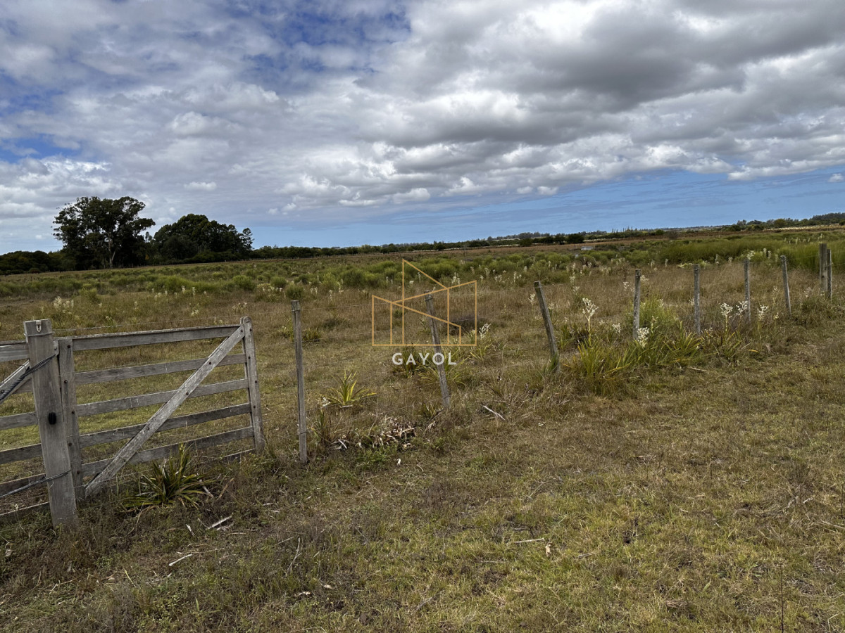 Chacra ID.1587 - CHACRA DE SAN CARLOS 