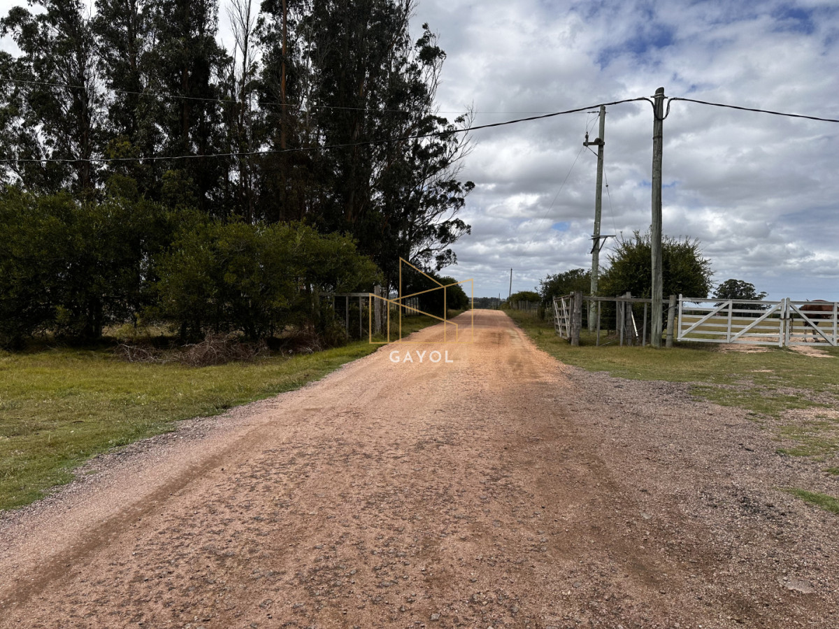 Chacra ID.1587 - CHACRA DE SAN CARLOS 
