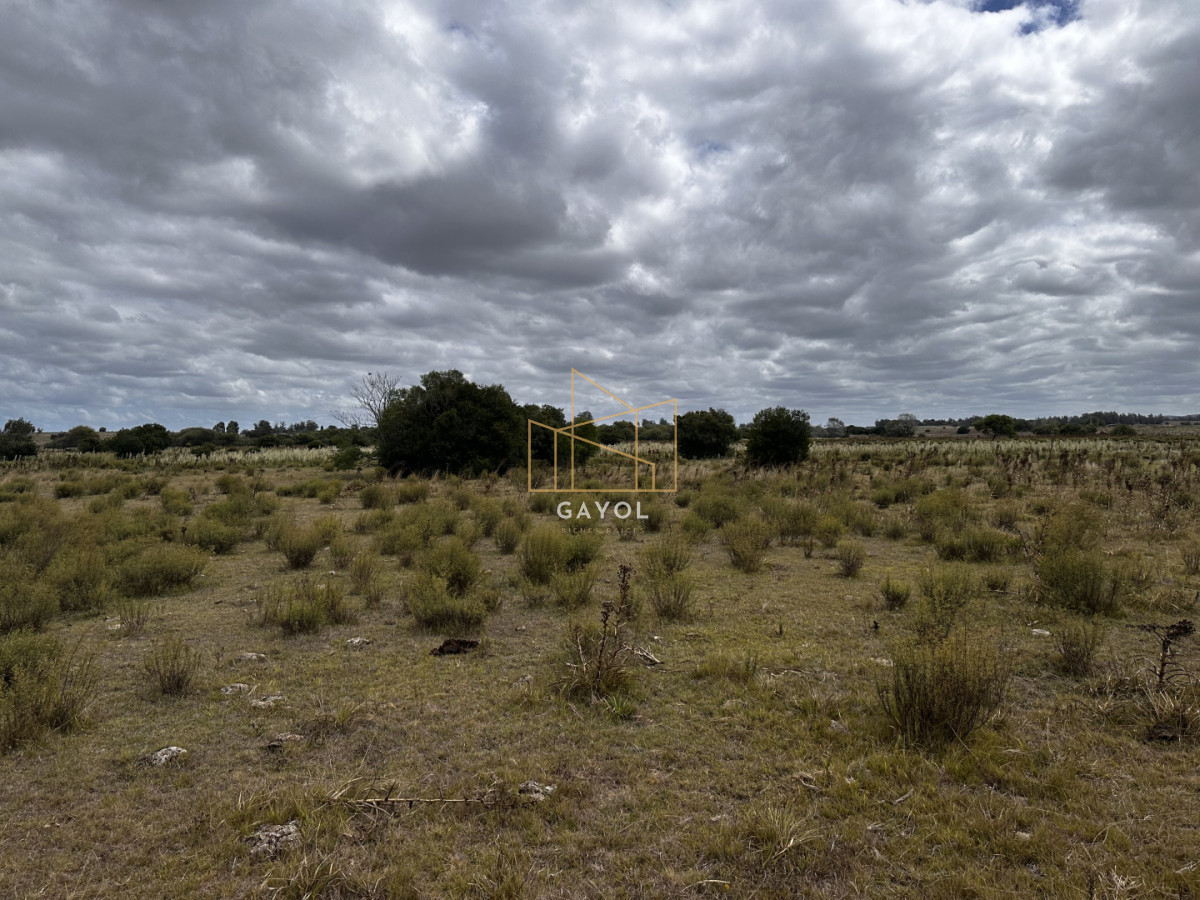 Chacra ID.1587 - CHACRA DE SAN CARLOS 
