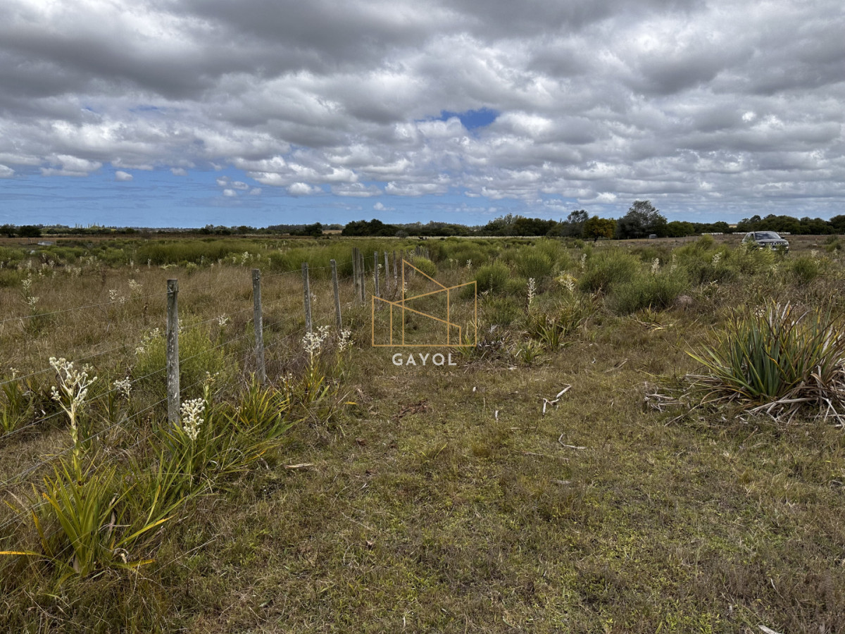 Chacra ID.1587 - CHACRA DE SAN CARLOS 