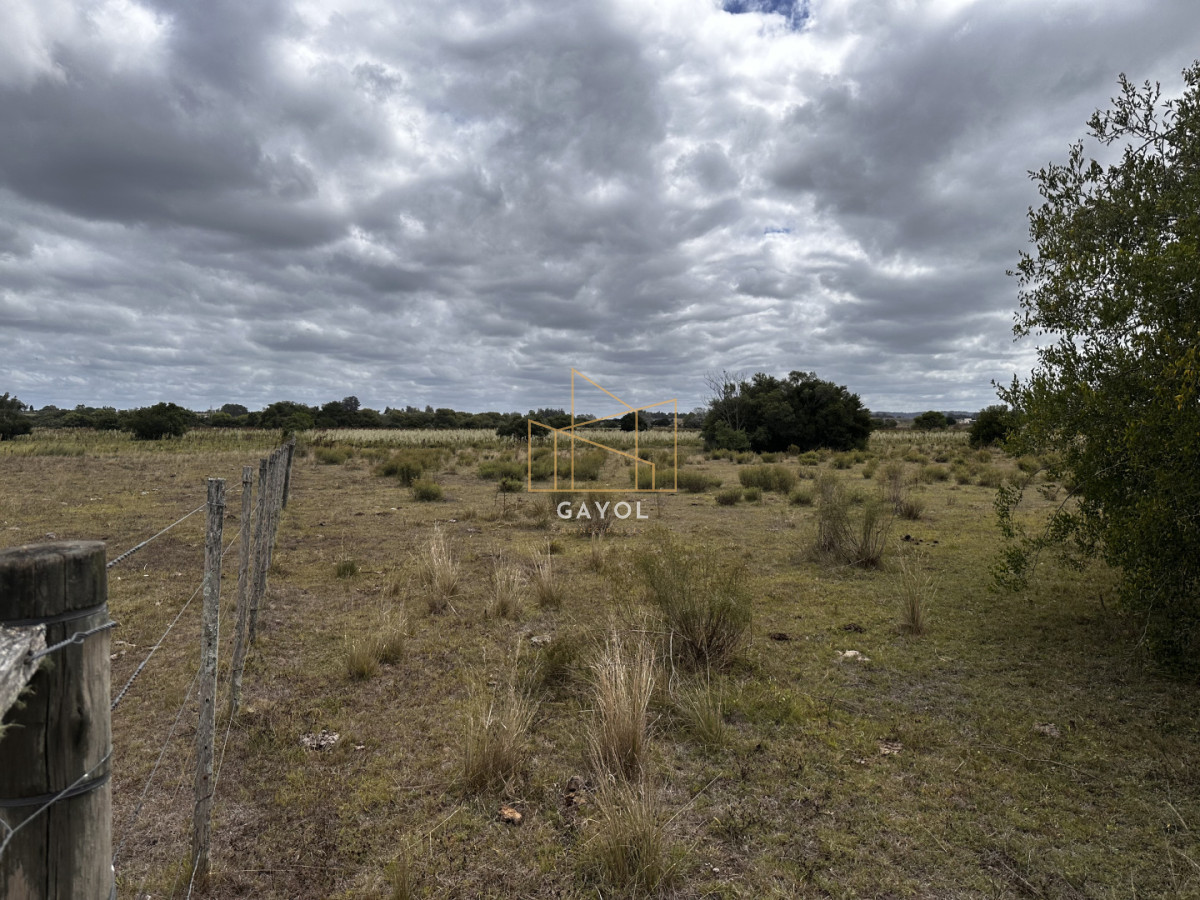 Chacra ID.1587 - CHACRA DE SAN CARLOS 