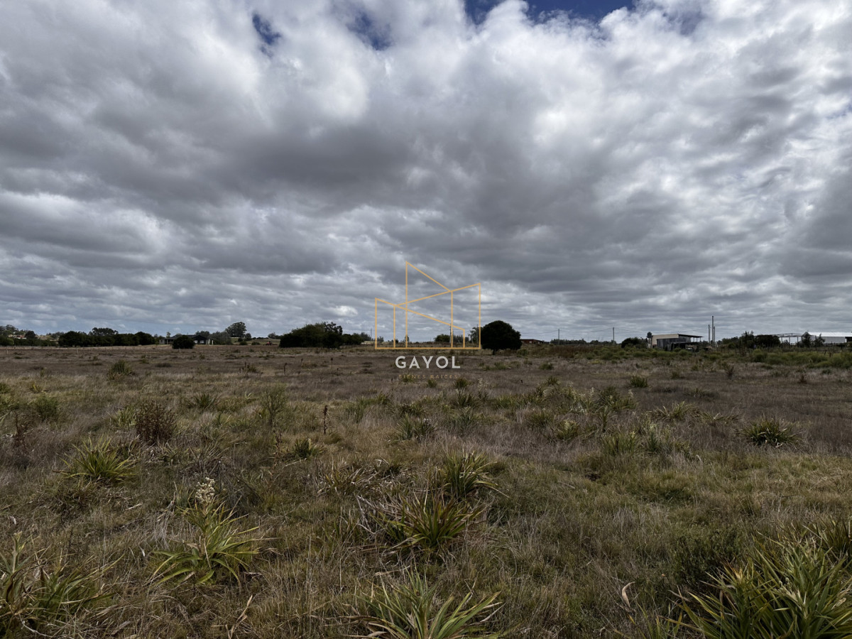 Chacra ID.1587 - CHACRA DE SAN CARLOS 