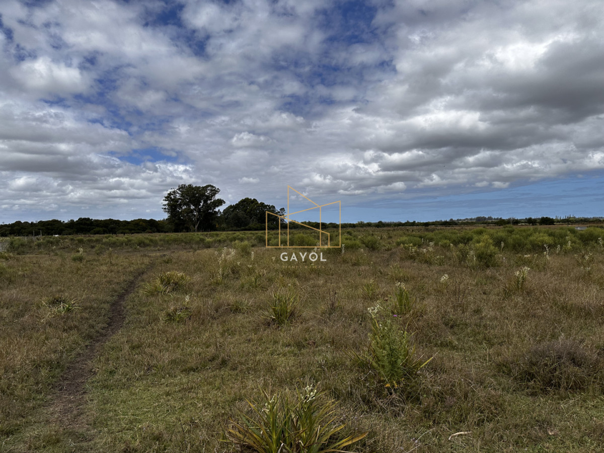 Chacra ID.1587 - CHACRA DE SAN CARLOS 