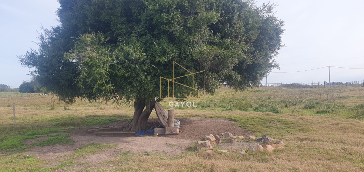 Chacra ID.1587 - CHACRA DE SAN CARLOS 
