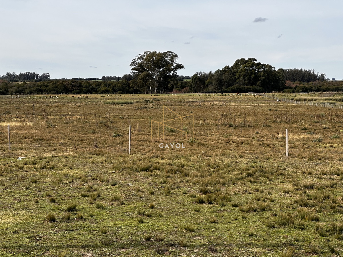 Chacra ID.1587 - CHACRA DE SAN CARLOS 