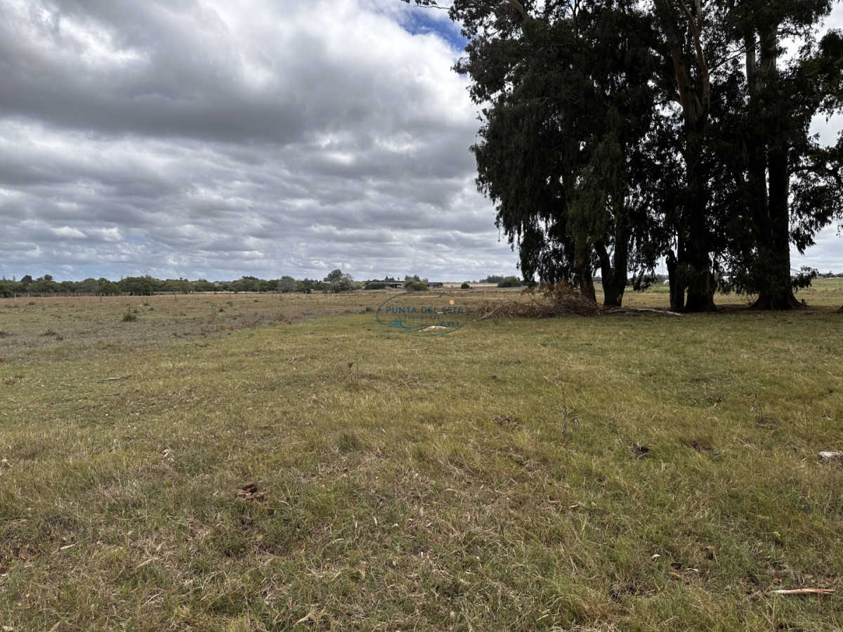 Chacra ID.124 - 7 HAS EN BARRIO PRIVADO SOBRE RUTA 39