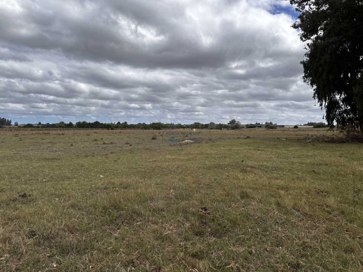 Chacra ID.124 - 7 HAS EN BARRIO PRIVADO SOBRE RUTA 39