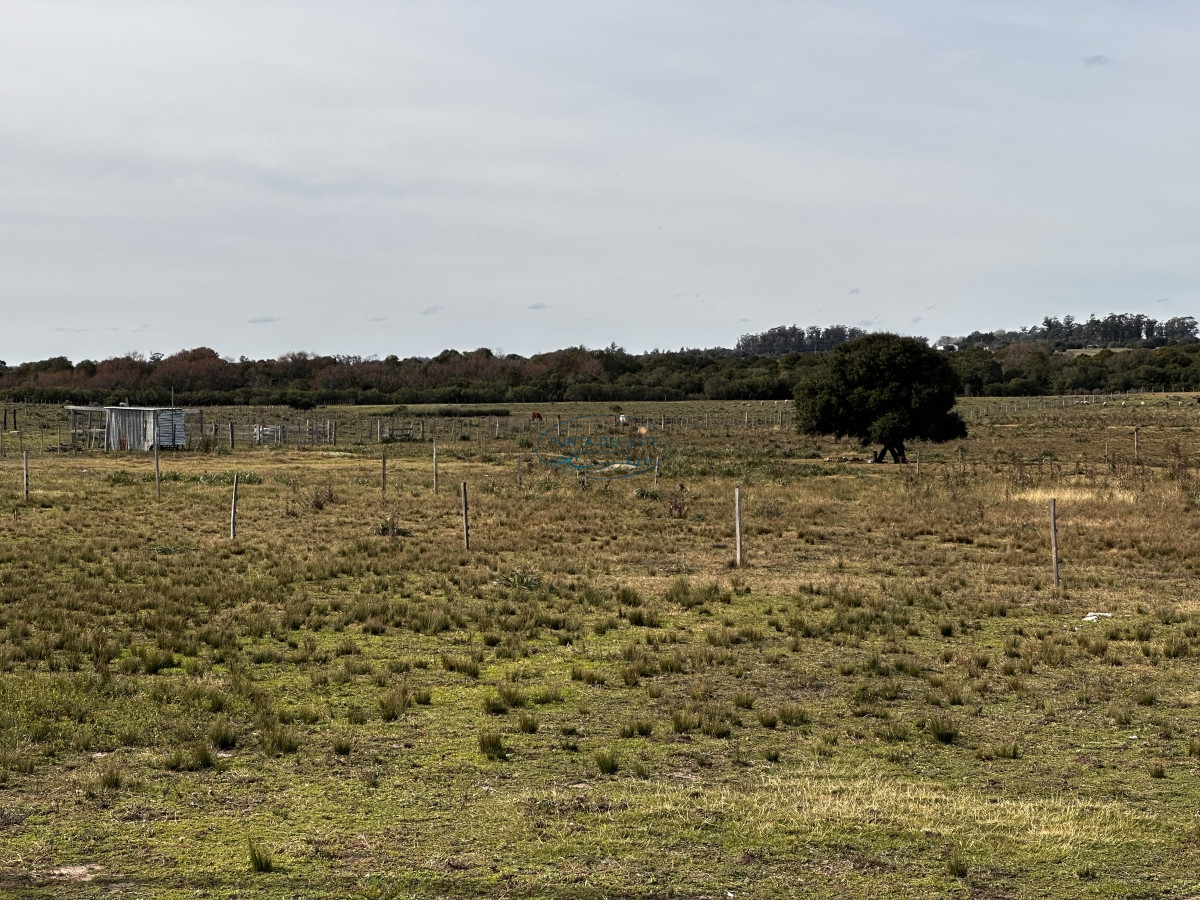 Chacra ID.124 - 7 HAS EN BARRIO PRIVADO SOBRE RUTA 39