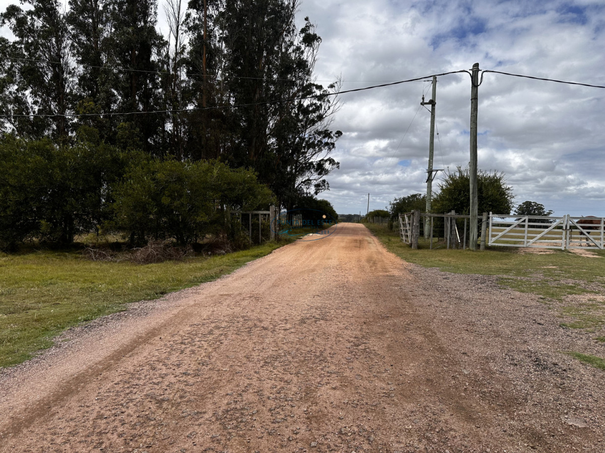 Chacra ID.124 - 7 HAS EN BARRIO PRIVADO SOBRE RUTA 39