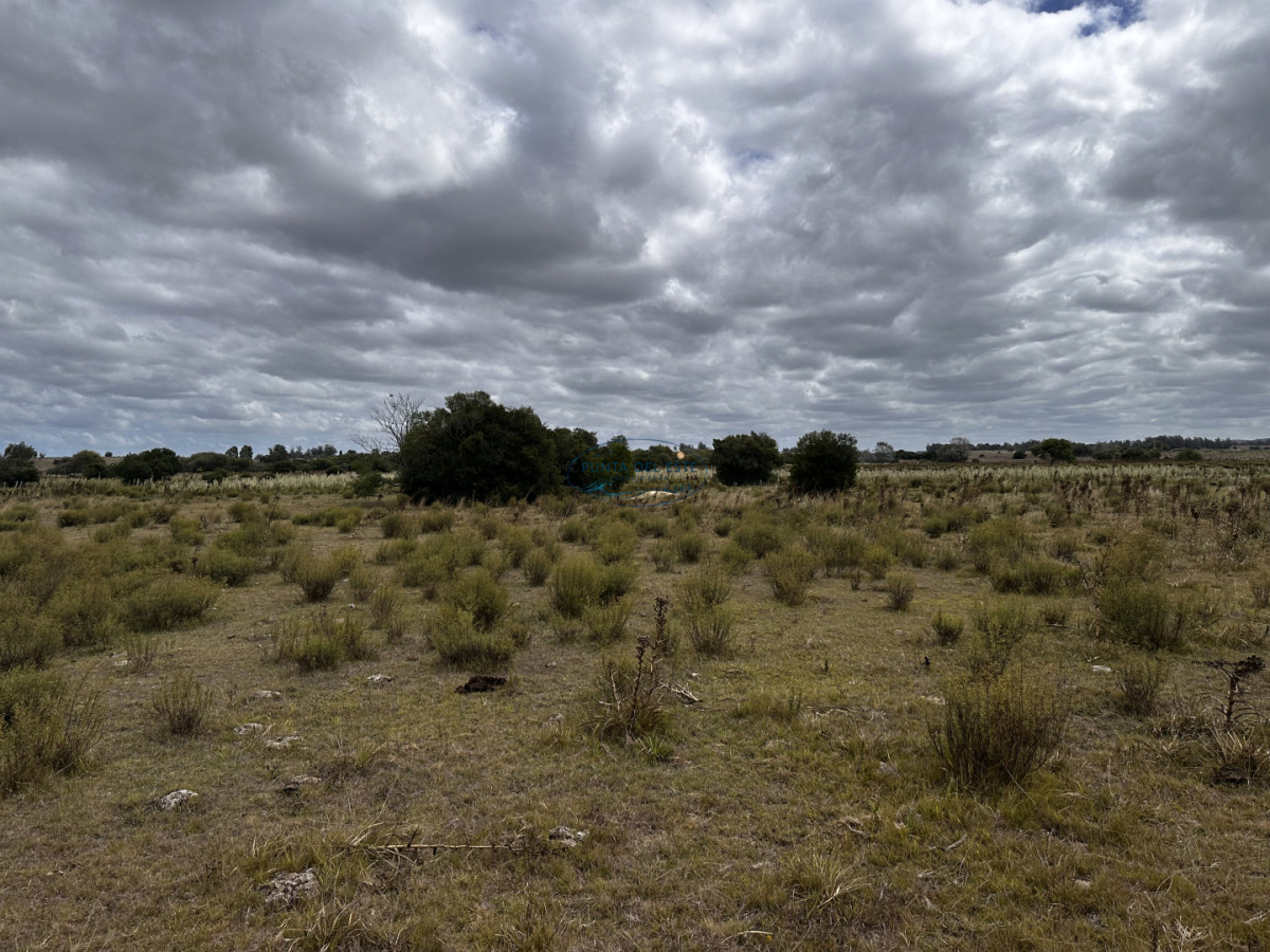 Chacra ID.124 - 7 HAS EN BARRIO PRIVADO SOBRE RUTA 39