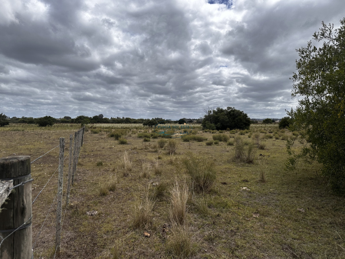Chacra ID.124 - 7 HAS EN BARRIO PRIVADO SOBRE RUTA 39