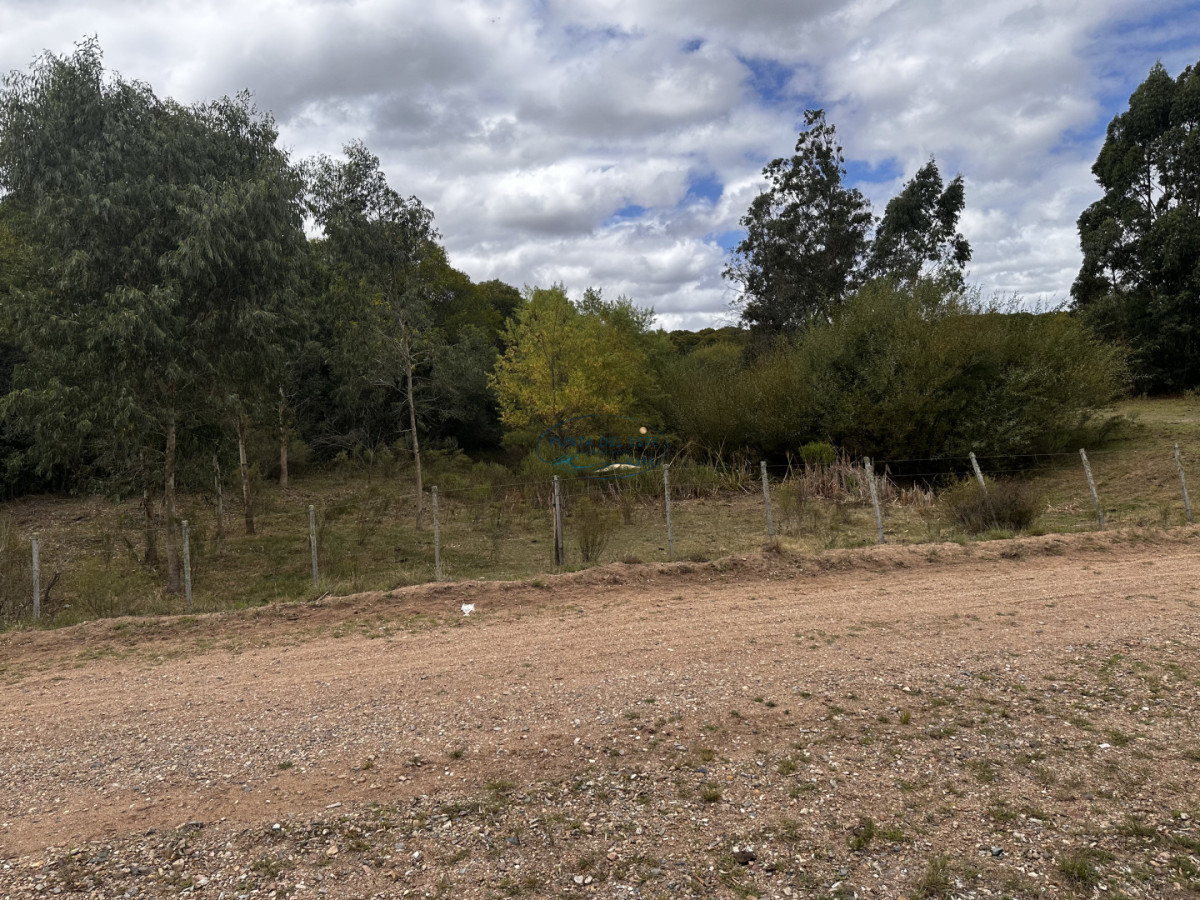 Chacra ID.124 - 7 HAS EN BARRIO PRIVADO SOBRE RUTA 39