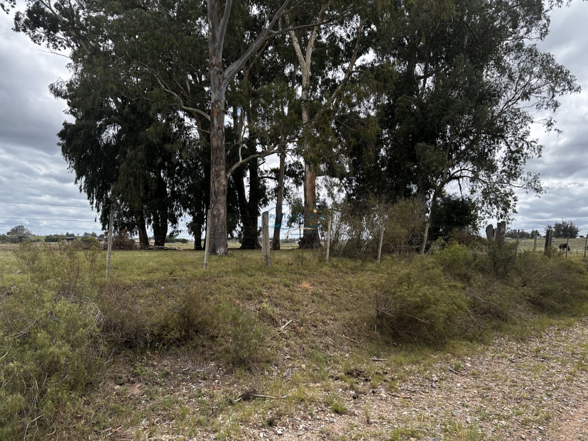 Chacra ID.124 - 7 HAS EN BARRIO PRIVADO SOBRE RUTA 39