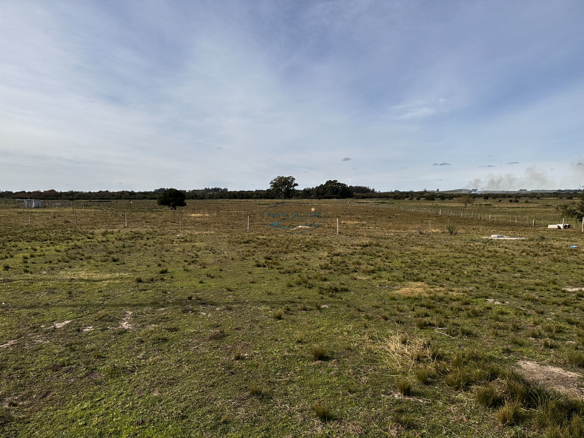 Chacra ID.124 - 7 HAS EN BARRIO PRIVADO SOBRE RUTA 39