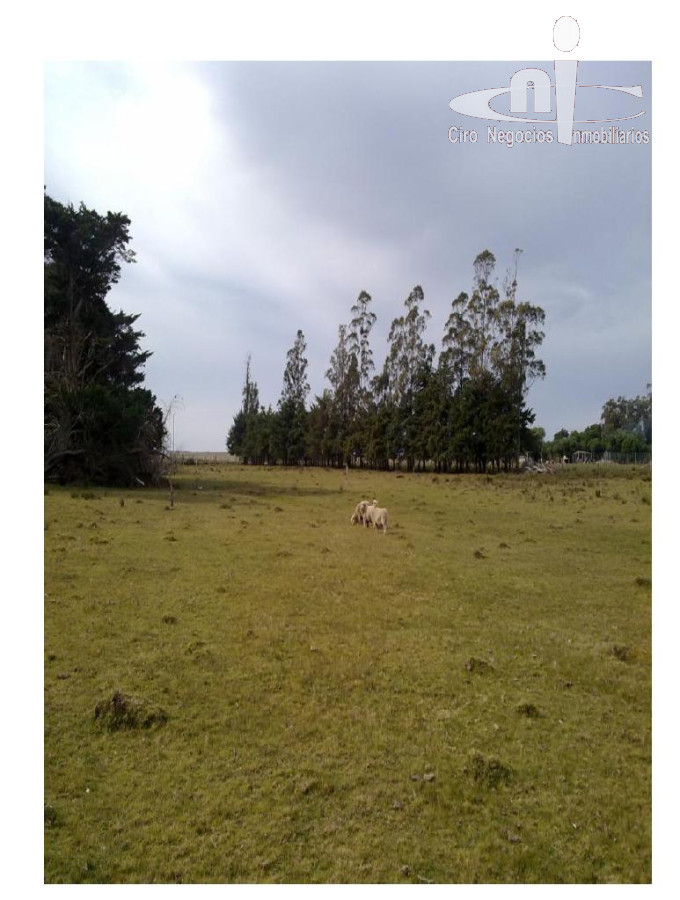 Chacra