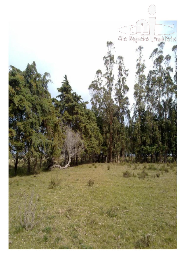 Chacra