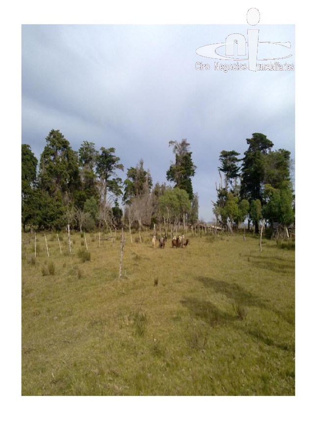 Chacra
