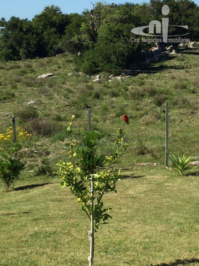 Chacra