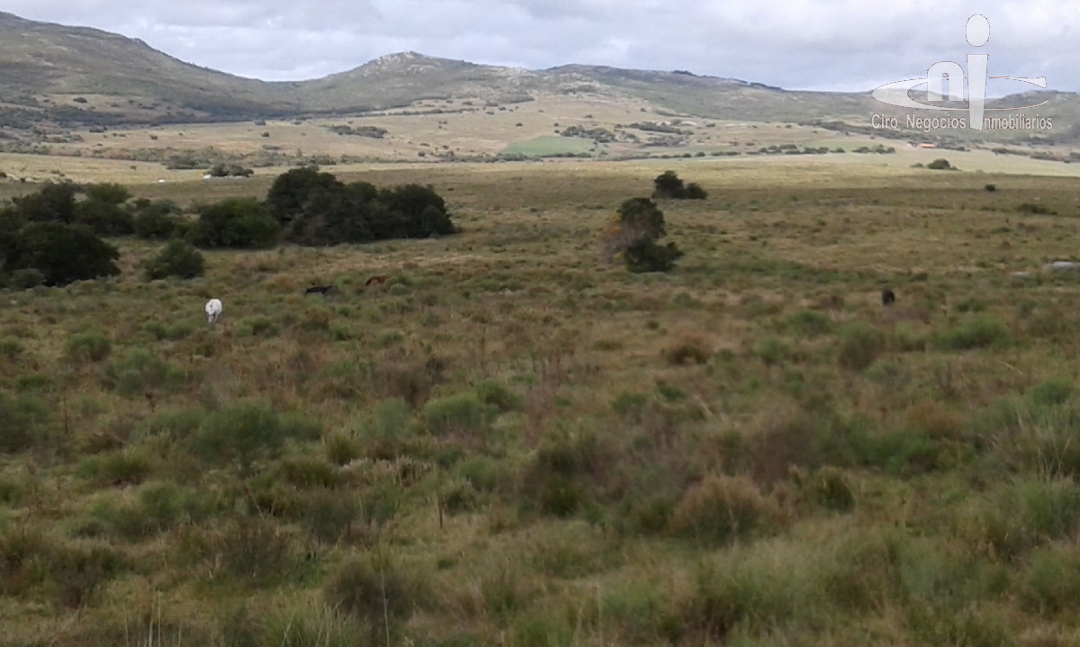 Chacra