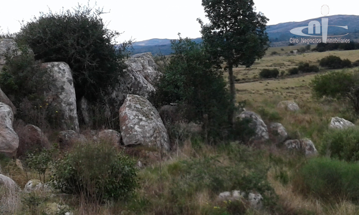 Chacra