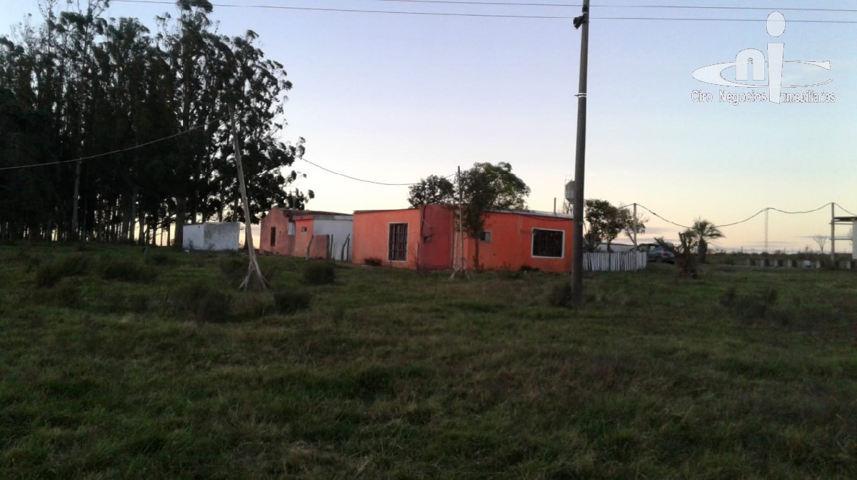 Chacra