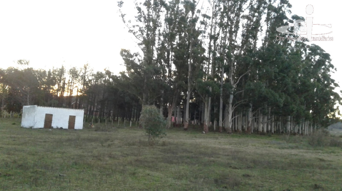 Chacra