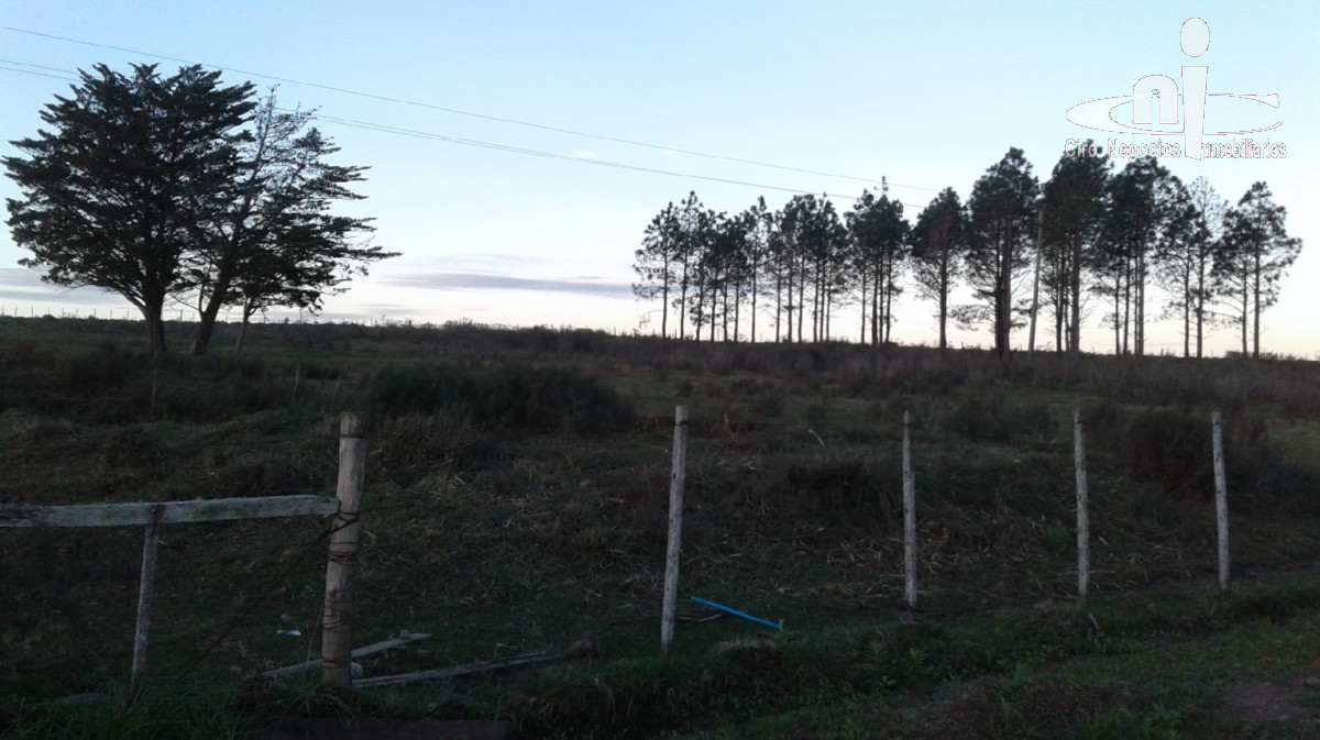 Chacra