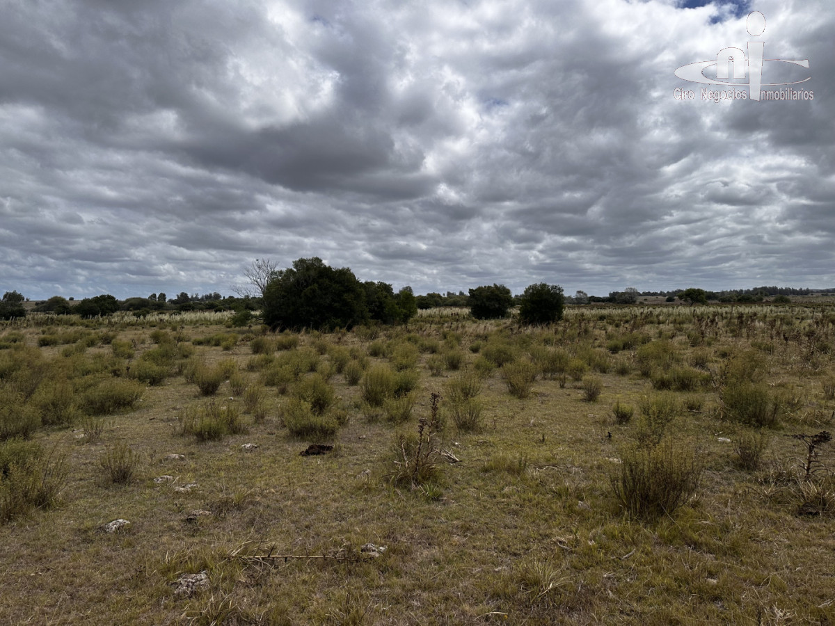 Chacra