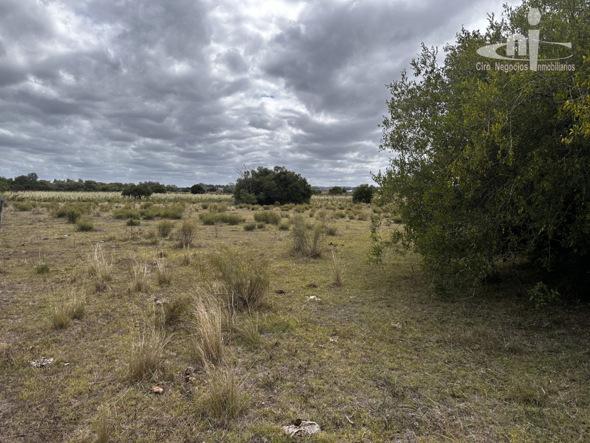 Chacra