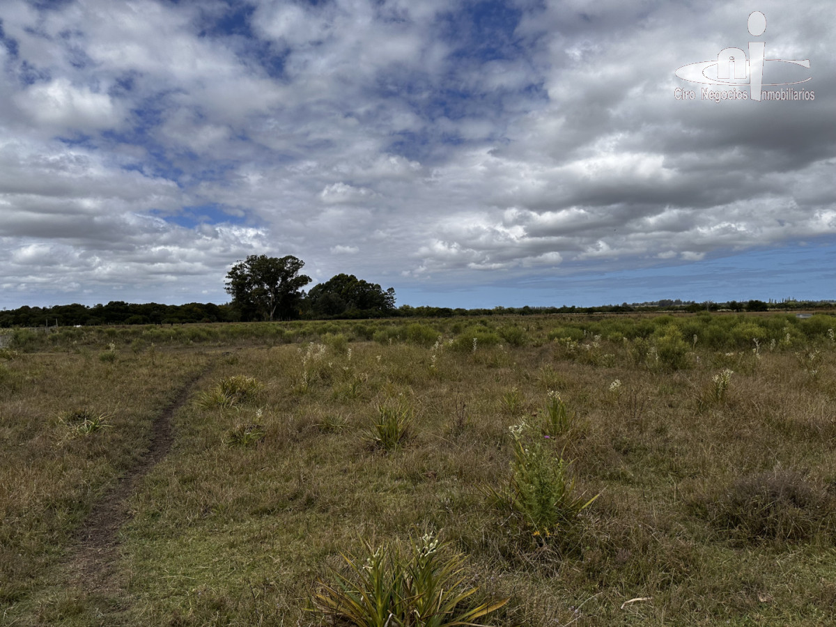 Chacra