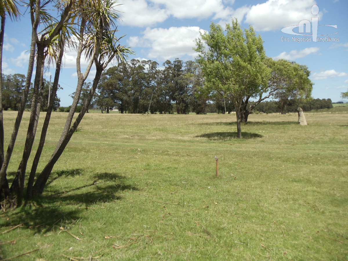 Chacra