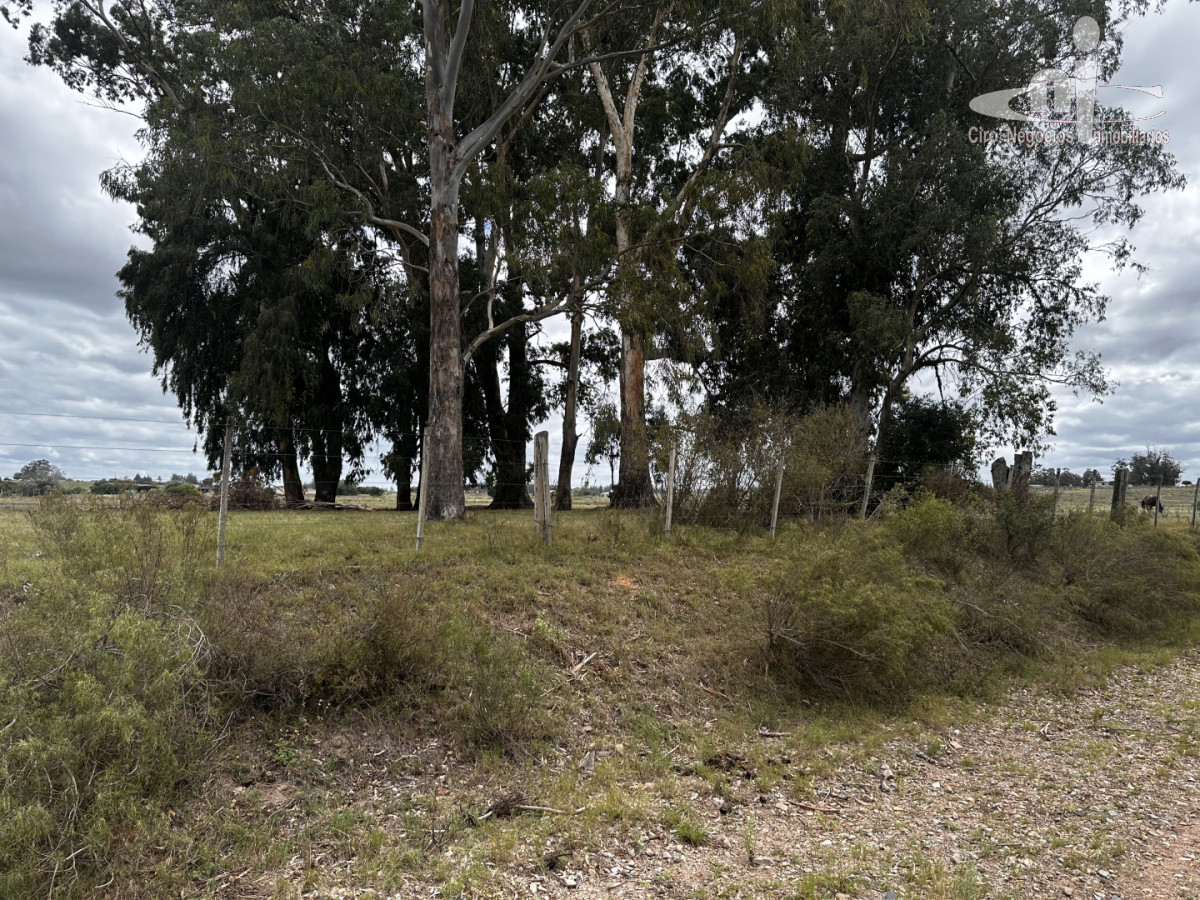 Chacra