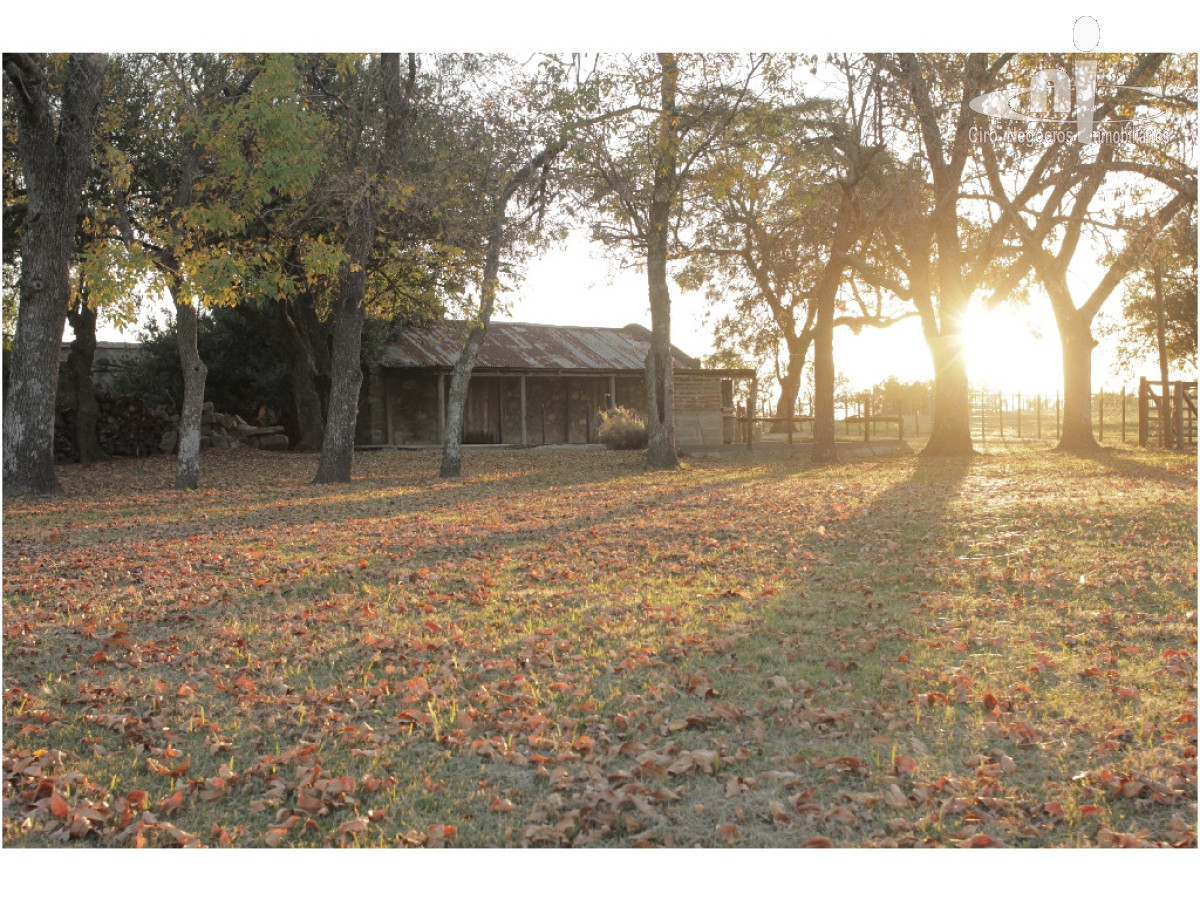Campo