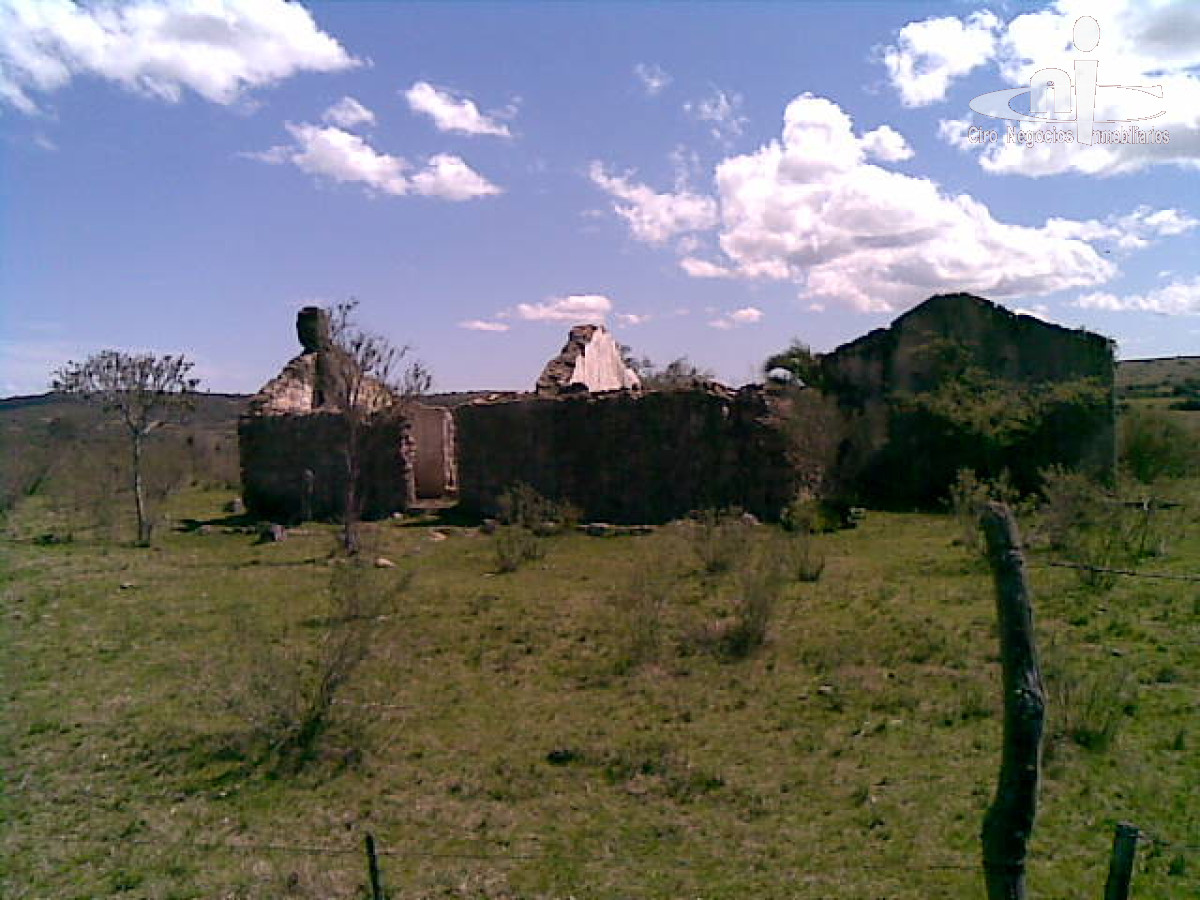 Campo