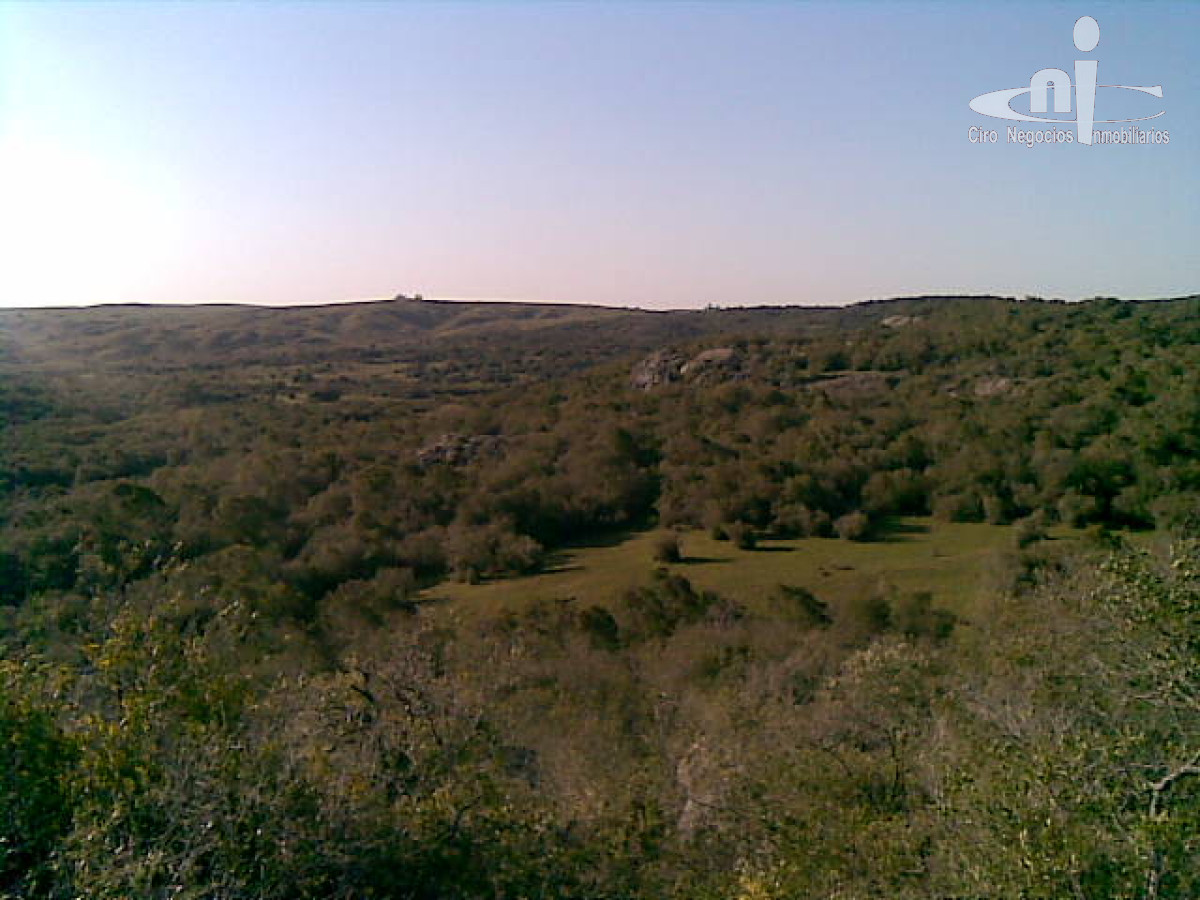 Campo