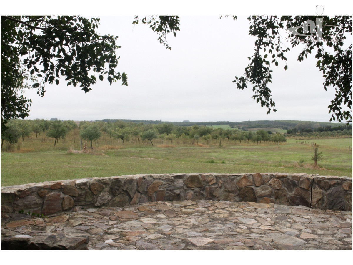 Campo